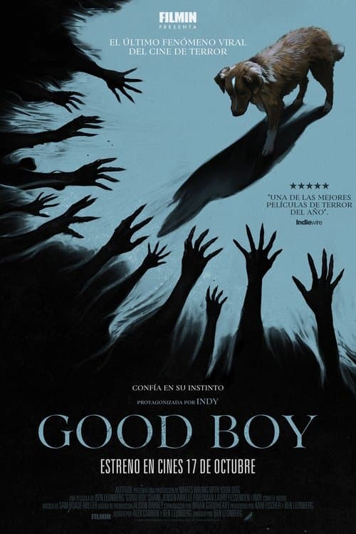 Good Boy