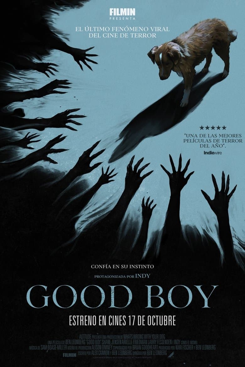 Good Boy
